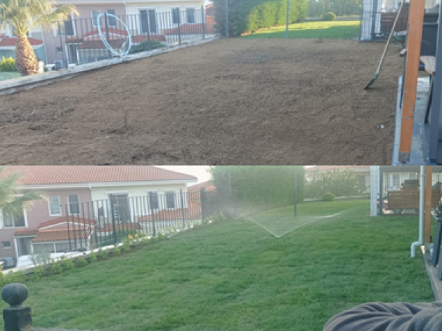 RULO ÇİM & BİTKİLENDİRME
