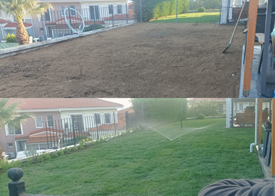 Rulo Çim & Bitkilendirme